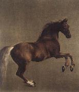 Whistlejacket George Stubbs